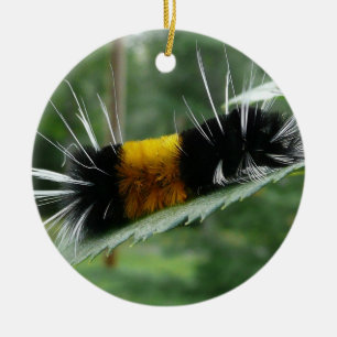 Ornement En Céramique Cute Fuzzy Caterpillar