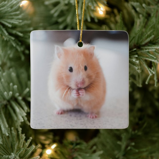 Ornement En Céramique Cute Hamster Aimer Animaux (Arbre)