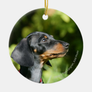 Ornement En Céramique Dachshund noir et tean Miniture 3