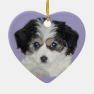 Ornement en céramique d'amour de Cavachon