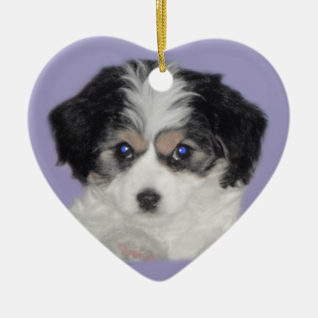 Ornement en céramique d'amour de Cavachon (Devant)
