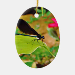 Ornement En Céramique Damselfly et Rose