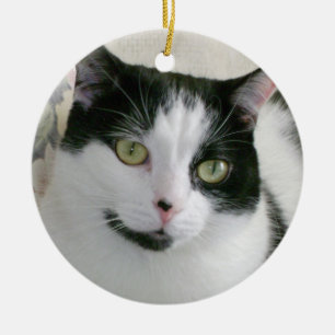 Ornement en céramique de chat noir et blanc