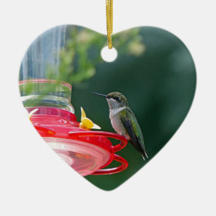 Ornement en céramique de colibri perché