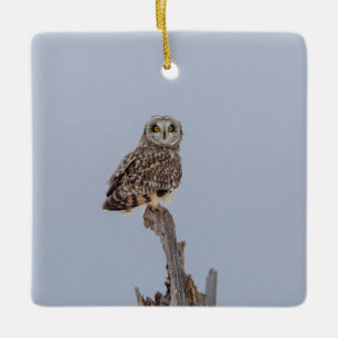 Ornement en céramique de hibou à courte portée