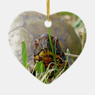 Ornement en céramique de tortue boîte