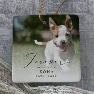 Ornement En Céramique Délicat pour toujours dans nos coeurs Photo Dog Me