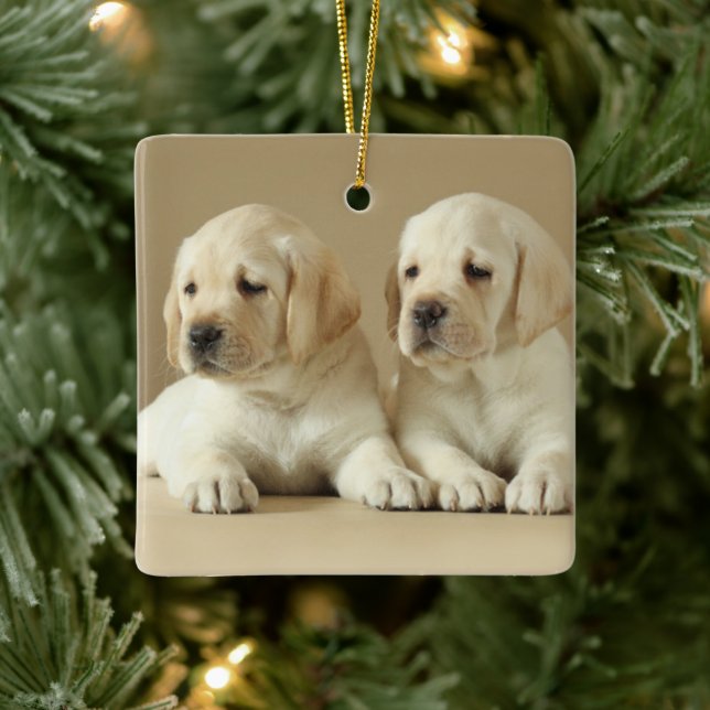 Ornement En Céramique Deux Marionnettes Golden Labrador (Arbre)