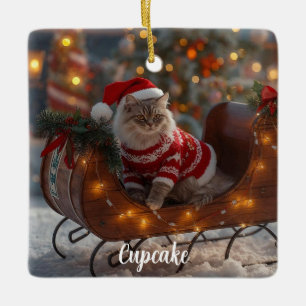 Ornement En Céramique Double problème Chat persan Noël personnalisé