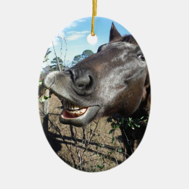 Ornement En Céramique Drôle Cheval brun visage (Devant)