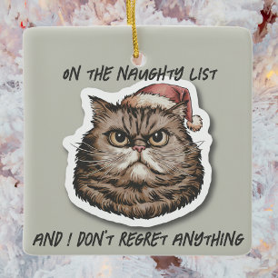 Ornement En Céramique Drôle grincheux en colère Fête de Noël de Chat