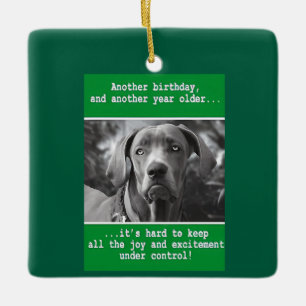 Ornement En Céramique Drôle photo de chien personnalisée Anniversaire