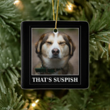 Drôle Suspish Chien mème