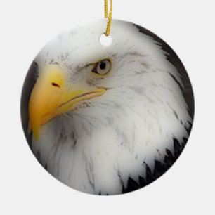 Ornement En Céramique 'Eagle chauve américain dans Portrait