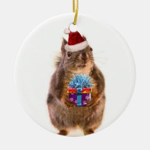 Écureuil et cadeau mignons de Noël