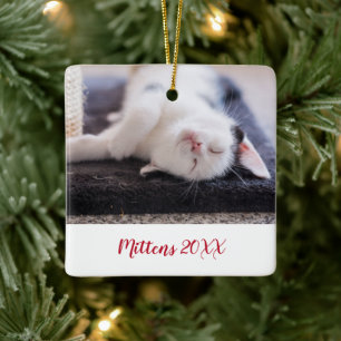 Ornement En Céramique Élégant Rouge Script Pet Cat Photo Moderne