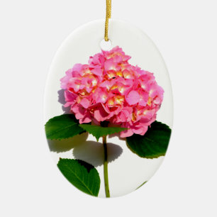 Ornement En Céramique Elégante hydrangée rose fleurie rose