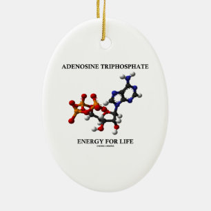 Ornement En Céramique Énergie (ATP) d'adénosine triphosphate pendant la