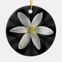 Étoile d'ornement de ~ de fleur de Bethlehem