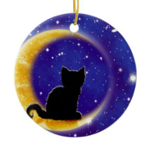 Étoile regardant le chat fixement