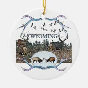 Ornement En Céramique Faune du WYOMING