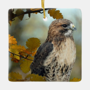 Ornement En Céramique Faune Red Tail Hawk Automne Photo