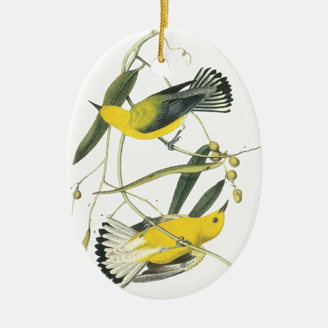 Ornement En Céramique Fauvette de Prothonotary, John Audubon (Devant)