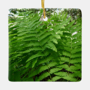 Ornement En Céramique Fern Fronds IV Nature verte Botanique