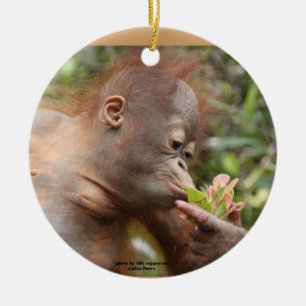Ornement En Céramique Festins de vacances d'orang-outan