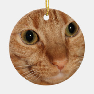 Ornement En Céramique Fin orange de visage de profil de chat tigré