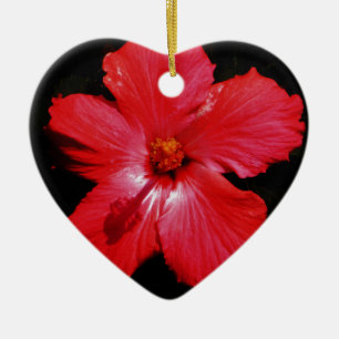 Ornement En Céramique Fleur d'Hibiscus rouge rose chaud sur noir