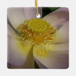 Ornement En Céramique Fleur Lotus Rose I Floral Été