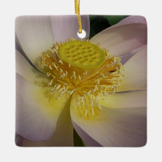 Ornement En Céramique Fleur Lotus Rose I Floral Été (Devant)