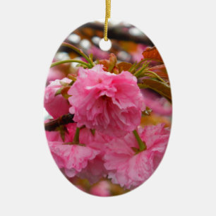 Ornement En Céramique Fleurs de fleurs de cerisier rose chaud