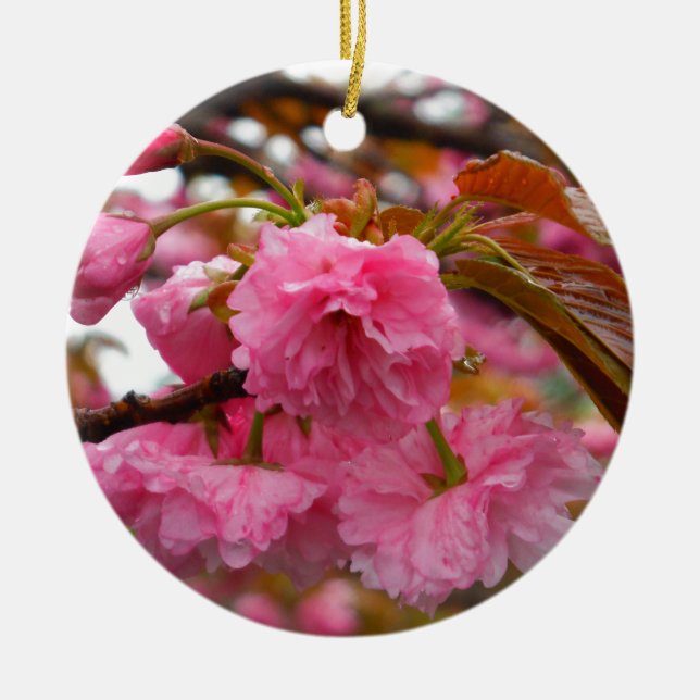 Ornement En Céramique Fleurs de fleurs de cerisier rose chaud (Devant)