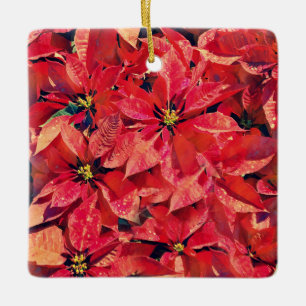 Ornement En Céramique Fleurs de la Foi Isaïe Poinsettia Ornament