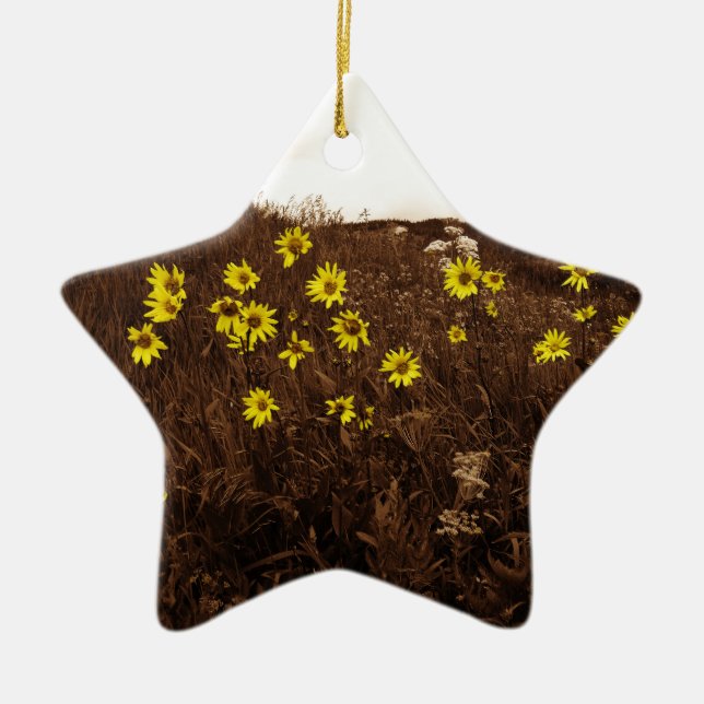 Ornement En Céramique Fleurs de soleil (Devant)