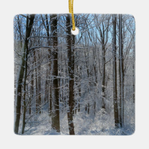 Ornement En Céramique Forêt de peuplier neigeux I