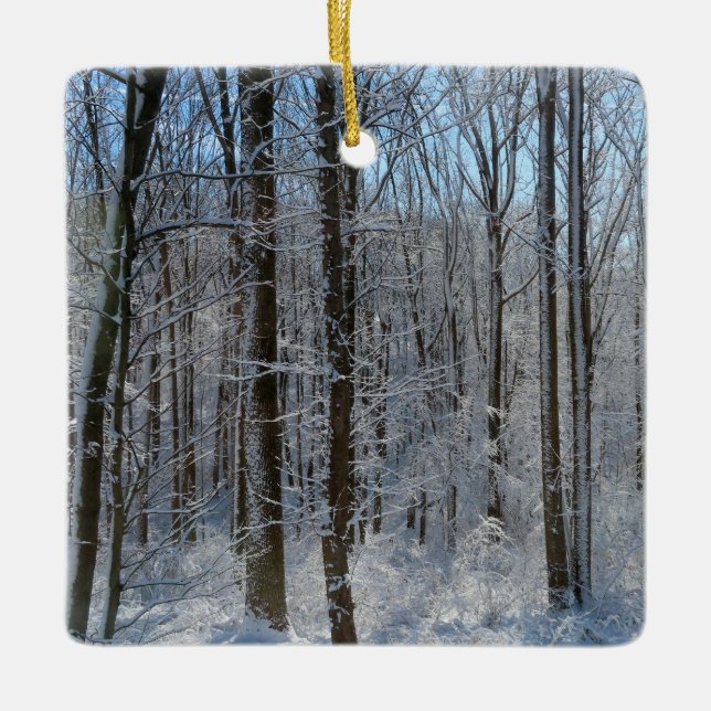 Ornement En Céramique Forêt de peuplier neigeux I (Devant)