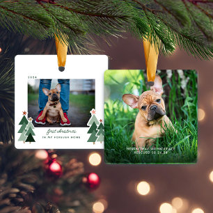 Ornement En Céramique Forever Accueil Premier Noël Animaux Secourus Phot