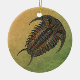 Ornement En Céramique Fossile Trilobite de Ceraurus