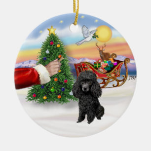 Ornement En Céramique Friandise pour un jouet ou un caniche noir miniatu