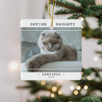 Funny Animal de compagnie 'Define Naughty' Photo N
