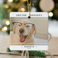 Funny Animal de compagnie 'Define Naughty' Photo N