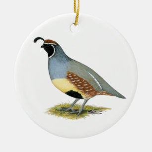 Ornement En Céramique Gambel's Desert Quail