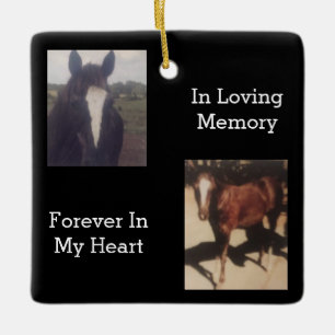Ornement En Céramique Garde-photo Pet Memorial Two