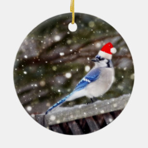 Ornement En Céramique Geai bleu de Père Noël