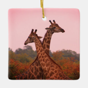 Ornement En Céramique Girafe au ciel rose
