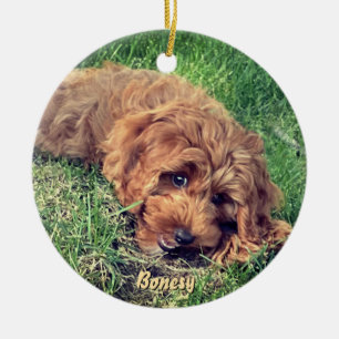 Ornement en céramique Golden Doodle mignon