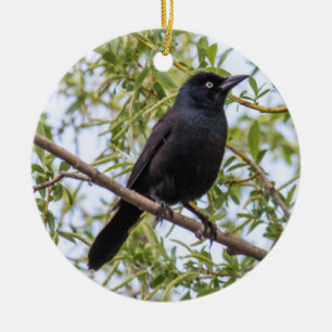 Ornement En Céramique Grackle commun